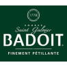 Eau Gazeuse Badoit : Bouteilles et Cartons CHR